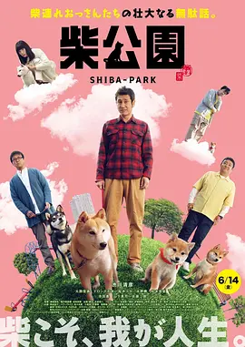 vk视频白丝